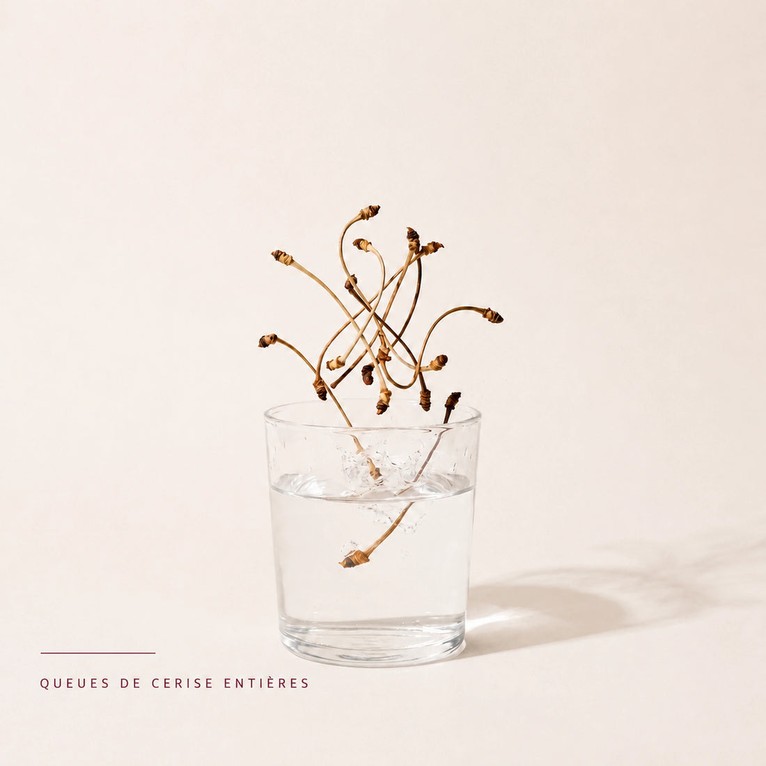 Queues de cerise séchées versées dans un verre pour préparer une infusion