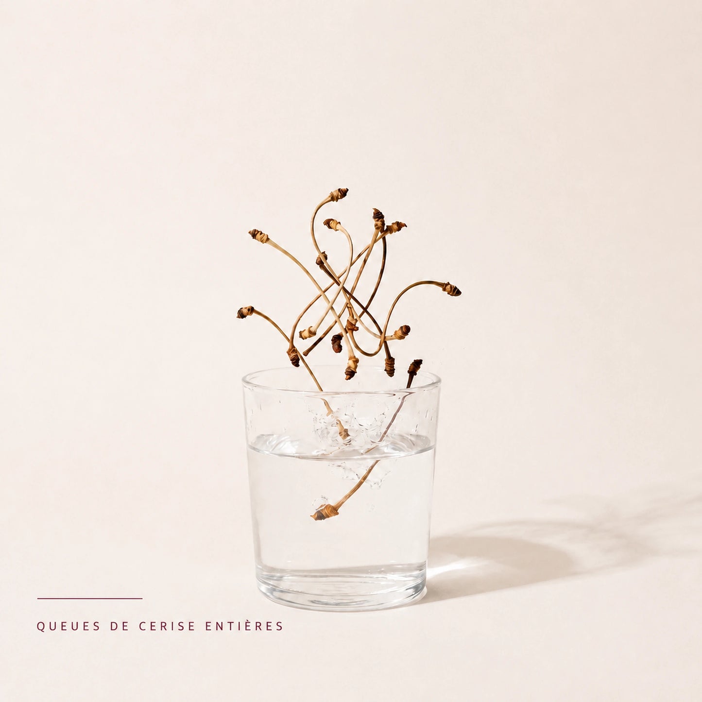 Queues de cerise séchées versées dans un verre pour préparer une infusion