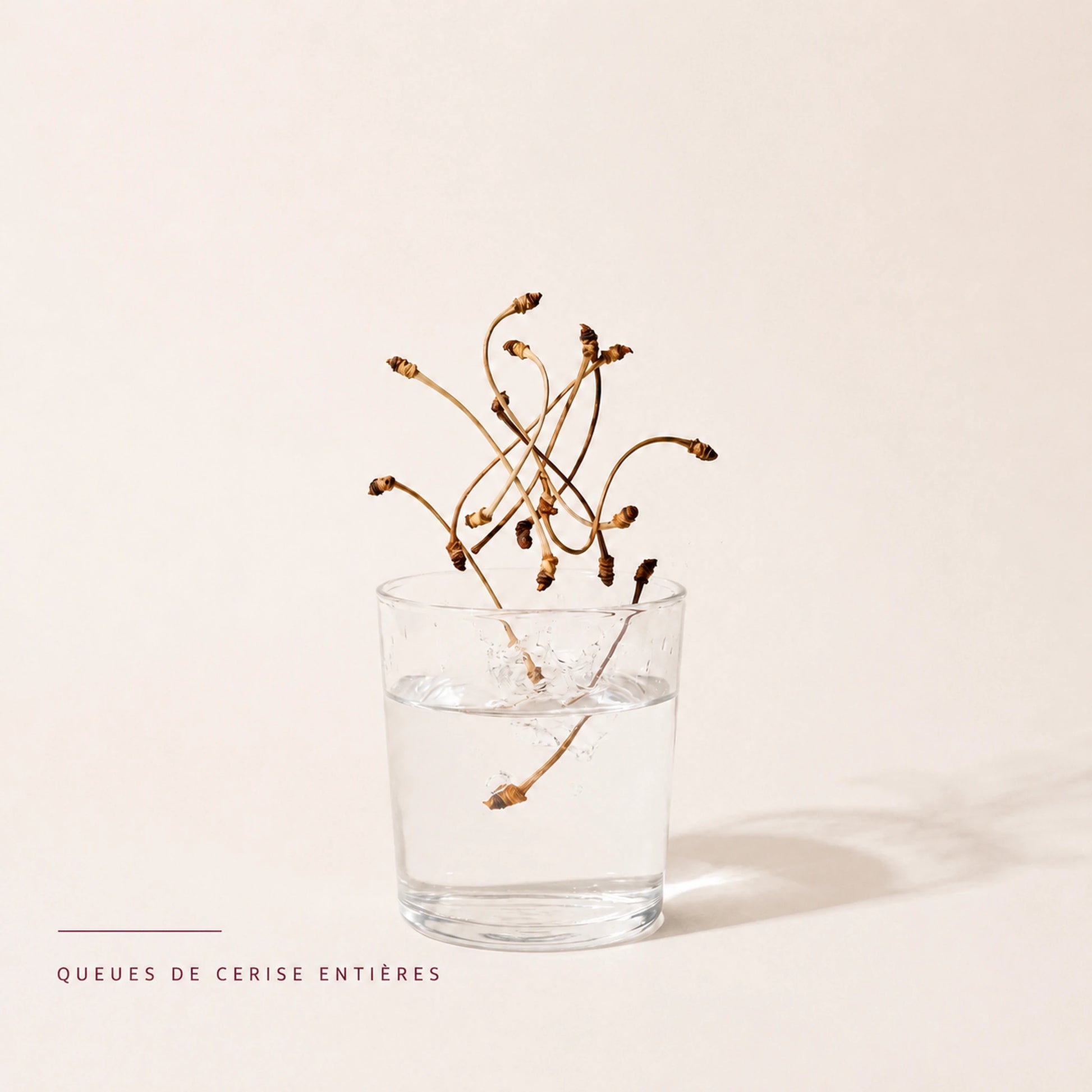 Queues de cerise séchées versées dans un verre pour préparer une infusion