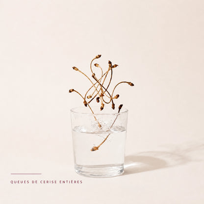 Queues de cerise séchées versées dans un verre pour préparer une infusion